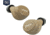 ISOtunes Sport OPMOD CALIBER True Wireless Tactical Earbuds With Bluetooth, 25 NRR, FDE, Universal, IT-17OPMO
