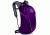 Osprey Daylite Daypack, Eggplant Purple, 302836