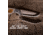 Outdoor Edge Cutlery RAZOR APX 2.5in Fixed Blade Knife, Titanium Coated Frame w/5 Blades, One Size, APX255C