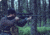 PARD Optics FT34-LRF Thermal Imaging Rifle Scope, Black, FT34-LRF