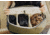 Peak Design Everyday 15 Liters Zip Bag, Kelp, BEDBZ-15-KP-3