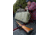 Pelican 1720 Watertight Gun Case w/ Wheels and Foam - 42in Long Interior, OD Green 1720-000-130