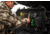 Pelican Air 1745 Case, Bow, 44x16.8x7.9 inch Internal Dimension, 46.7x19.4x8.7 External Dimension, Black, 017450-0120-110