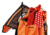 Petzl 45L Alcanadre Guide Pack, Orange/Black, S064BA00