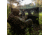 Primos Hunting Double Bull SurroundView Stakeout Hunting Blind, Mossy Oak Greenleaf, 65164