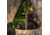 Primos Hunting Double Bull SurroundView Stakeout Hunting Blind, Mossy Oak Greenleaf, 65164