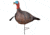 Primos Hunting Photoform Jake Decoys, 69069