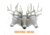 Primos Hunting SCAR Deer Decoy, Box, 62601