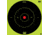 Pro-Shot Splatter Shot Bullseye Targets - Heavy Tag Paper 12 Inch Green 5 Pack