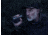 Pulsar Axion 2 XG35 2.5x20 Thermal Monocular, Black, PL77476