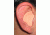 Radians Custom Molded Earplugs - Retail Box with Tan Plugs CEP002-T