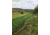 RaKK Fuel Groundwork 1/2 Acre, Large, 7518