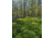RaKK Fuel Groundwork 1/2 Acre, Large, 7518