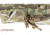 Raptor Tactical Large Utility Pouch w/ChemLight Holders, Multicam, UPL-MC