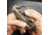 Real Avid Pistol Multi Tool AVPSTL