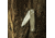 Real Steel Muninn Slide Lock Micarta