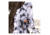 Red Rock Outdoor Gear 5 Piece Ghillie Suit, Snow, X-Large-2X-Large 70917XL/XXL