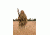 Red Rock Outdoor Gear Big Game Ghillie Suit, Open Country, Medium-Large 70966M/L