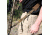 Red Rock Outdoor Gear D1 2-Point Rapid Fit Tactical Sling, Coyote, 37-003COY