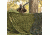 Red Rock Outdoor Gear Hunting Series Camouflage Netting, Woodland, 6'x8', 068G
