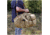 Red Rock Outdoor Gear Operations Duffle Bag, Coyote, 80261COY
