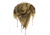 Red Rock Outdoor Gear Shemagh Head Wrap, Khaki/Black Rifles, 70-39