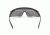 Revision Sawfly Military Eyewear System Photochromic  Kit,Black Frame, Photochromic Lens, Head Strap,Microfiber Pouch and Case 4-0076-9627