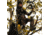 Rivers Edge Treestands Big Foot Original Hang-on Stand, Black RE555