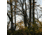 Rivers Edge Treestands Big Foot XL Classic Hang-on Stand, Black RE554