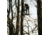 Rivers Edge Treestands Big Foot XL Classic Hang-on Stand, Black RE554