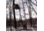 Rivers Edge Treestands Concealment Lockdown Kit, 1-Man, Olive Tan, LD701