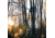 Rivers Edge Treestands Lockdown Wide 1-Man Treestand, Black, 811603010170