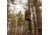 Rivers Edge Treestands Roof Lockdown 360 Kit, Olive Tan, LD703