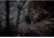RIX 2x15mm Thermal Imaging Monocular, 50 Hz, 384x288, Black, Small, RIX POCKET K3