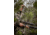RIX 3-14x50 mm Tourer T20 Night Vision Rifle Scope, Black, Medium, TOURER T20
