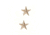 Rothco Brigadier General Insignia Stars, Gold, 1716-Gold