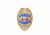Rothco Deluxe Special Police Badge, Gold, 1926-Gold