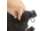 Rothco MOLLE 2 QT. Bladder Canteen Cover, Black, 12871-Black