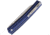 RUIKE P865 Linerlock Blue