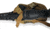 S2Delta Shooting Rest Bag, Large, Tan, C-BAG-TAN