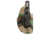 SAF SPECIES HLSTR GLK19 COR WDC, 20-283-C991