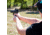 SightMark 1x Mini Shot A-Spec Reflex Sight, Red Reticle, 2 MOA, 1 MOA, 25 yd, Black, SM26045
