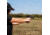 SightMark 1x Mini Shot A-Spec Reflex Sight, Red Reticle, 2 MOA, 1 MOA, 25 yd, Black, SM26045