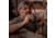 SightMark Solitude XD 8x42mm BaK4 Roof Binocular
