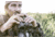 Sightmark Solitude 10x42 XD Binoculars SM12103