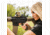 SightMark Ultra Shot R-Spec 1x 33x24 mm Reflex Red Dot Sight, 5 MOA dot, 3 MOA dot with 50 MOA circle, 3 MOA dot with 50 MOA crossshair, 3 MOA dot with 30 MOA circle/crosshair (subtensions total 50 MOA), Dark Earth, SM26031DE