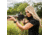 SightMark Ultra Shot R-Spec 1x 33x24 mm Reflex Red Dot Sight, 5 MOA dot, 3 MOA dot with 50 MOA circle, 3 MOA dot with 50 MOA crossshair, 3 MOA dot with 30 MOA circle/crosshair (subtensions total 50 MOA), Dark Earth, SM26031DE