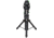 Sky Watcher EQ8-R Mount w/ Pier Tripod, Black, S30601