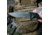 SOG Specialty Knives &amp; Tools Recondo FX Fixed Blade Knives, 4.6in, Partially Serrated Edge, CRYO 440C Steel, Spear Point, Black, GRN / TPU Handle, Black, SOG-17-22-02-57