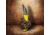 Spyderco Enuff Salt Yellow SCFB31SYL